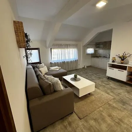 Milincic's 2 Zimmerwohnung Apartman *